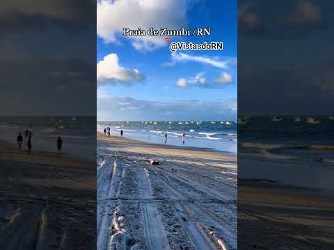 #Pipa #PraiaDaPipa #Genipabu #SãoMiguelDoGostoso #Maracajaú #Galinhos #PontaNegra  #BaíaDosGolfinhos