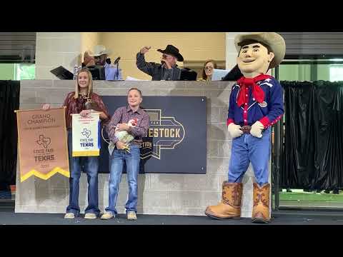Big Tex Youth Livestock Auction