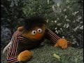 Sesame Street Insects In Your Neighborhood