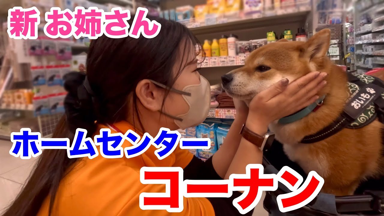 ホームセンターコーナン お姉さん初めまして！