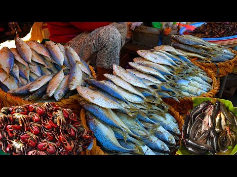 Fresh Food Compilation In Market  - Amazing Food Tour Around Cambodian Market At Chhbar Ampov Market
