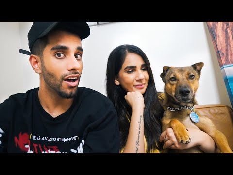 We Adopted A Puppy!
