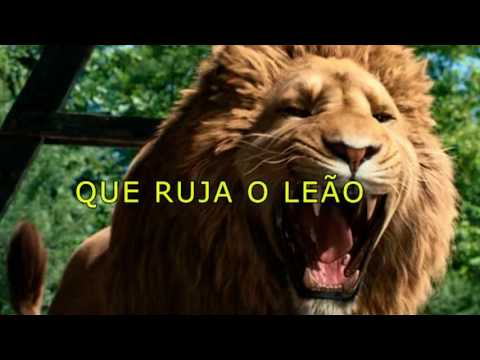 Quatro Seres video