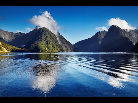 介紹紐西蘭 (Introducing New Zealand)