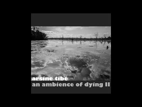 Arsine Tibé - The Globe