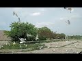 Feeding The Seagulls Little Caesars Pizza At The Orchard Mall In Benton Harbor Michigan
