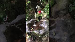 熊本には素晴らしい湧き水があるらしい[爆笑TikTok]