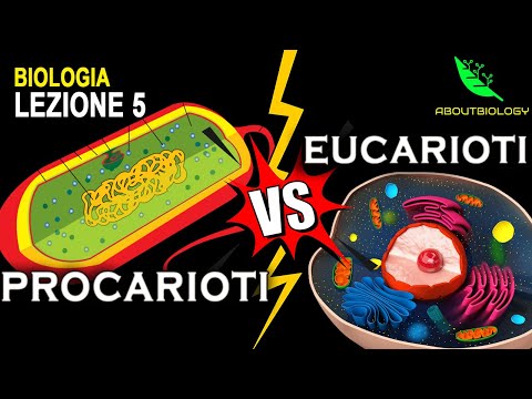 Cellula PROCARIOTE VS EUCARIOTE