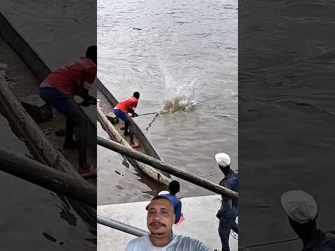 Todo mundo querendo pegar a iguana pra fazer um almoço