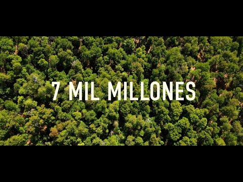 Max Zegers - 7 MIL MILLONES