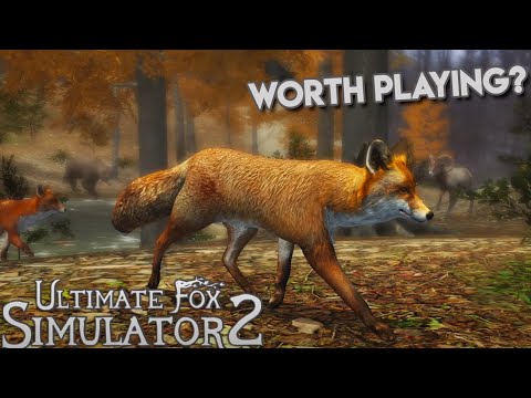 Ultimate Fox Simulator 2 First Impressions [Android Gameplay Walkthrough] - YouTube