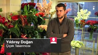 Yeni açılan işyerine hangi çiçekler gönderilebilir?