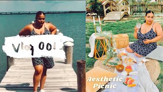Vlog Series | Chic Picnic, Yard Sale, Bedroom Refresh, Marshalls, Vegan Pinterest Cookies!