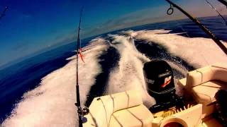 preview picture of video 'Offshore Fishing - Grand Isle, La 6/5/14 - 6/8/14'