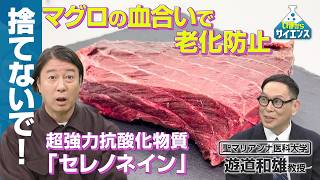 【老化は遅らせられる？】すぐ手に入る！マグロの血合いを解明！遊道和雄（聖マリアンナ医科大学教授）【いまからサイエンス】