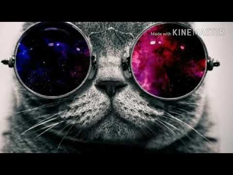 Batida de eletrônica 🎶💥 a mais tocada