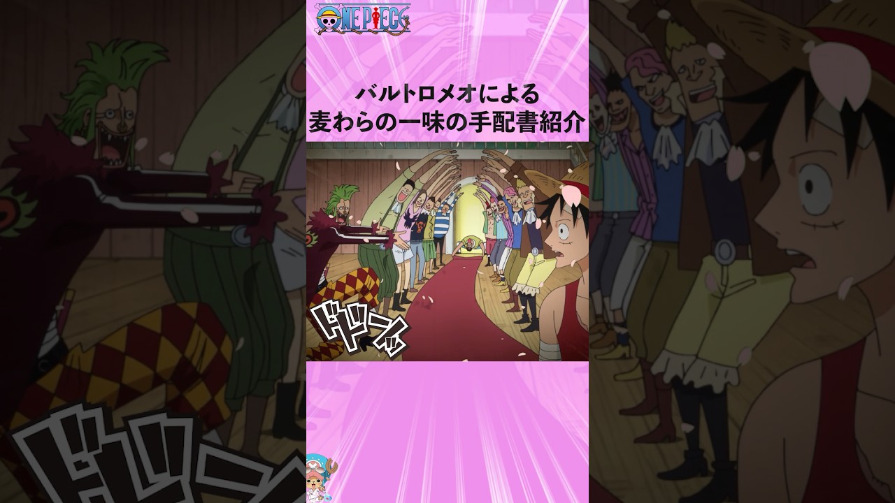 バルトロメオによる麦わらの一味の手配書紹介w #onepiece #ワンピース #アニメ #雑学