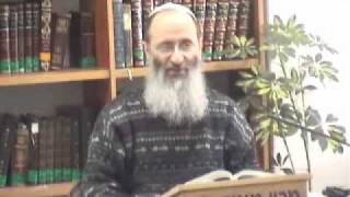 15162-2 נשים וגברים שווים מבחינת היכולת להשיג חוכמה