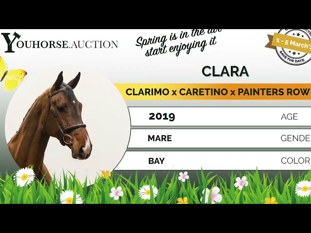 Clara showvideo