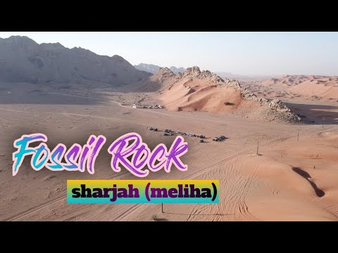 FOSSIL ROCK | sharjah (meliha) | CENIMATIC