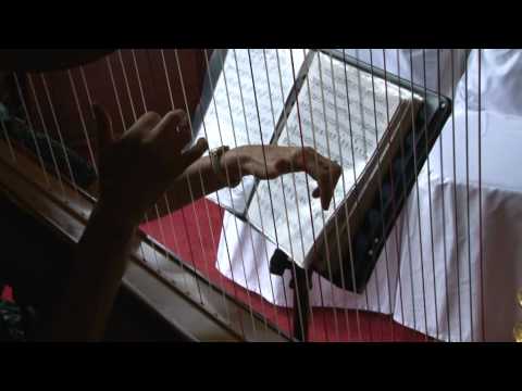 Newcastle Mansion House