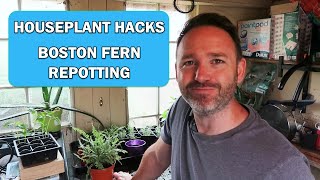 Boston Fern | Sword Fern Repotting and Plant Care ~ Houseplant Hacks