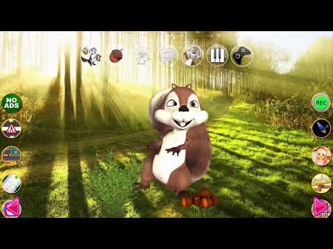 Talking James Squirrel - Virtual Pet - Free Android app | AppBrain