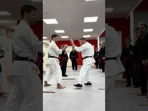 Kali - unser Schwerpunkt in diesem Prüfungszyklus 🥋💪🏻