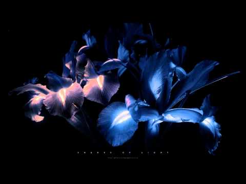 Marc Zimmerman - Crackpot (Alejandro Trebor's insane people remix) [Free Download]