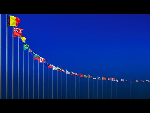 How flags unite (and divide) us