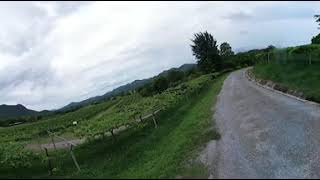 preview picture of video 'Monsoon Valley Vineyard - Hua Hin'
