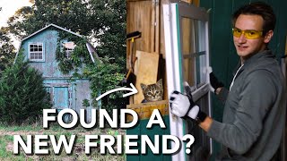 Opening up the New Additions! | Abandoned Shed to House Renovation