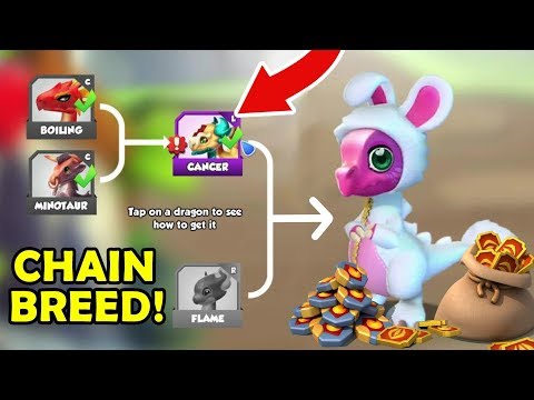 COTTONTAIL Chain Breeding + CANCER DRAGON BREEDING RETURNS! - DML #1294