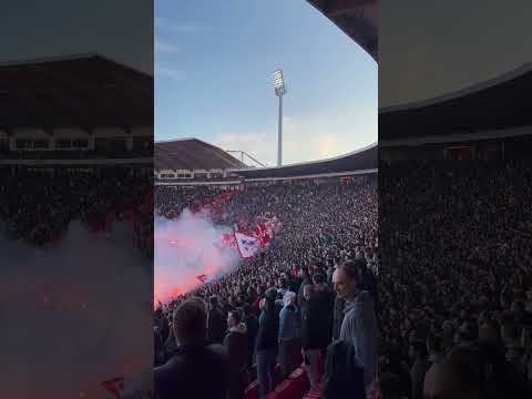 Crvena zvezda Delije Red Star Belgrade hooligans #ucl #stellarosa  #crvenazvezda #tifosi #ultras