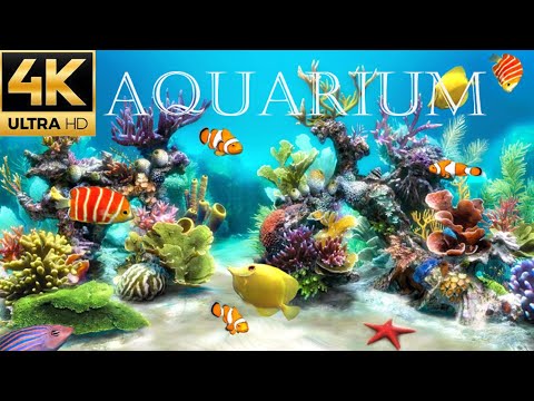 The Best 4K Aquarium for Relaxation | Relaxing Oceanscapes - Natural Underwater sounds  - no music