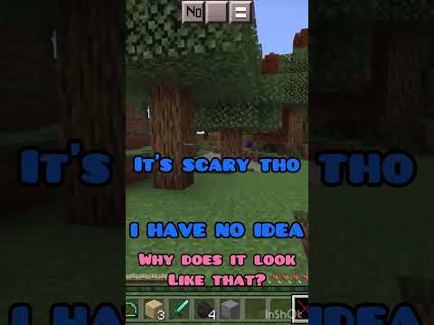 The Haunting of Aidanboy15's Minecraft World