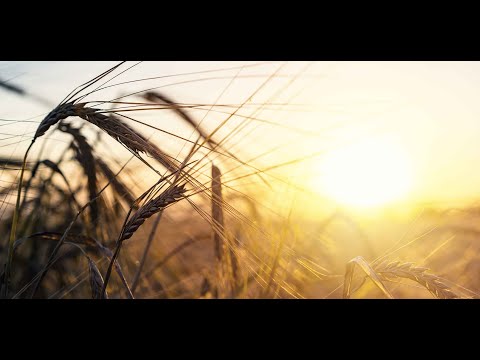 Imagevideo der 7x7 Unternehmensgruppe