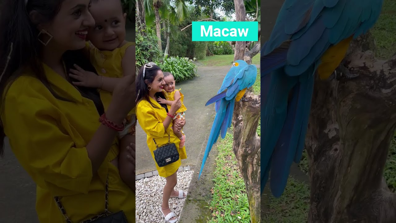 YouTube Short thumbnail