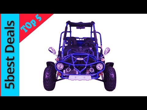 The Top 5 Best Go Kart 2023
