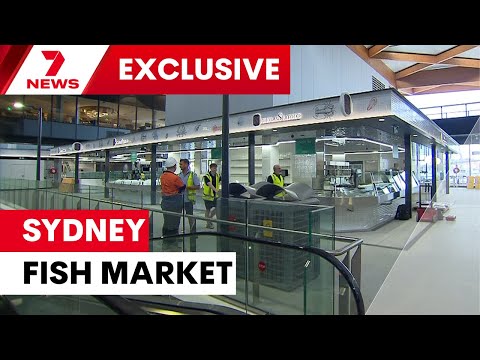 First look inside the new Sydney Fish market at Pyrmont | 7NEWS