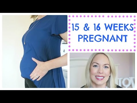 15 & 16 WEEKS PREGNANT and GENDER REVEAL PLANS