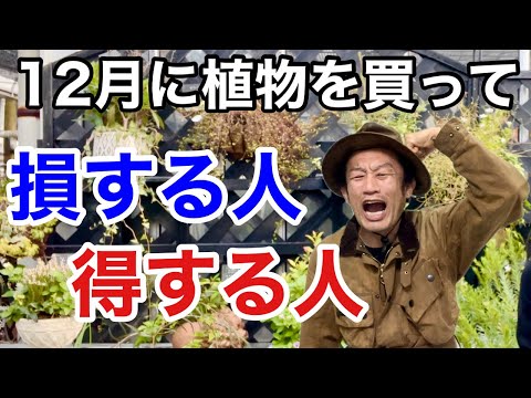 旧暦: 2022 年 8 月の月を使ってガーデニングをするには?  庭園