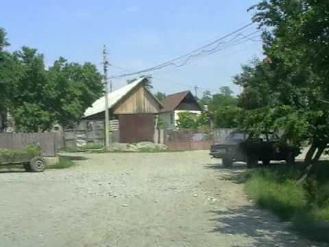 SANMARTINU DE CAMPIE RACIU ROMANIA SCOALA GENERALA VASILE OPREA RACIUTVS