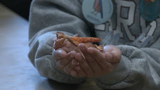 VOTV - Propostes per familiaritzar grans i petits amb la diversitat de la vida a la Terra