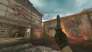 Classic Forest DDPAT WW + Gloves Forest DDPAT BS