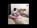 Finger In Dog S Butthole Feat Nagarpalika