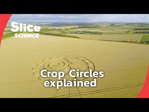 What Really Creates Crop Circles? — Full Documentary