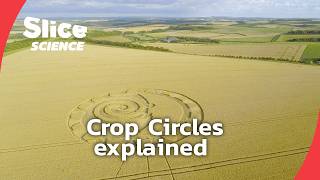What really creates Crop Circles? | SLICE SCIENCE | FULL DOC