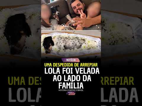 Uma despedida de arrepiar Lola foi velada ao lado da família história comeve o Brasil