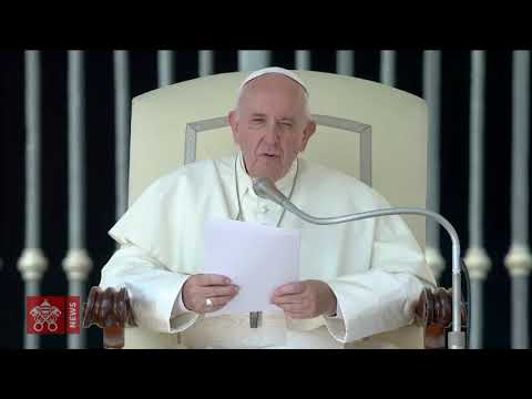 Papa Francisco: os mártires não são 